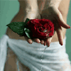 IrDeS
